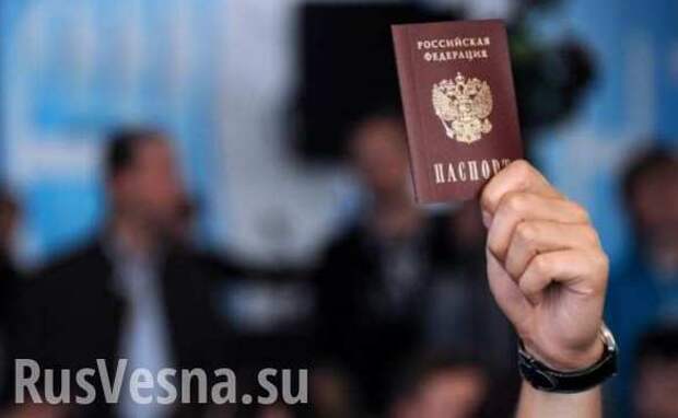 На Украине рассказали, сколько жителей Донбасса уже получили российские паспорта | Русская весна