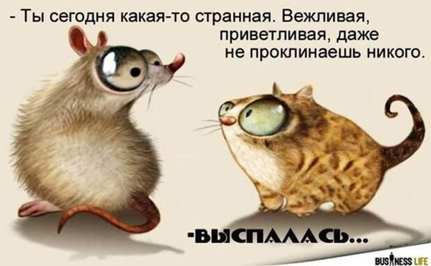 Нотка юмора для прекрасного вечера