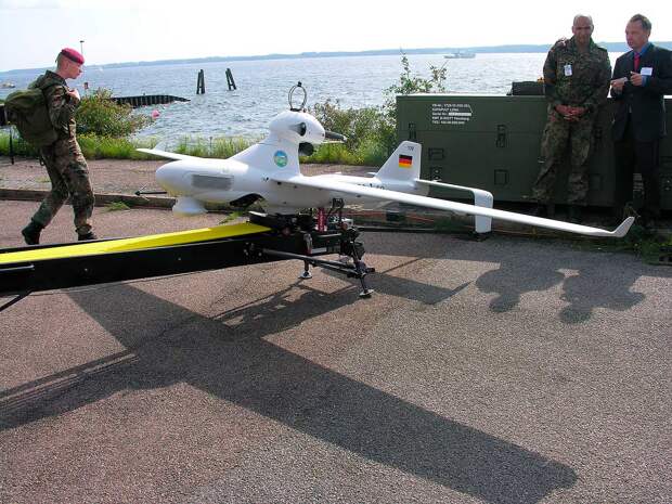 Фото: commons.wikimedia.org/Swadim (CC BY-SA 4.0)