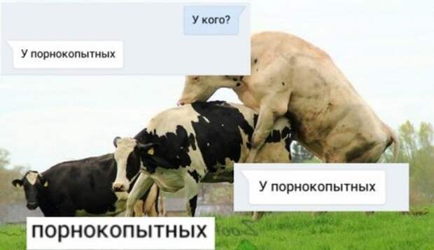 Новые прикольные фотомемы (23 шт)