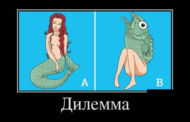 Демотиваторы (30 фото)