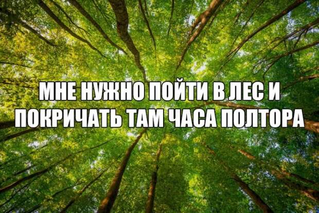 Веселые картинки с надписью со смыслом (12 фото) Веселые картинки с надписью со смыслом (12 фото)