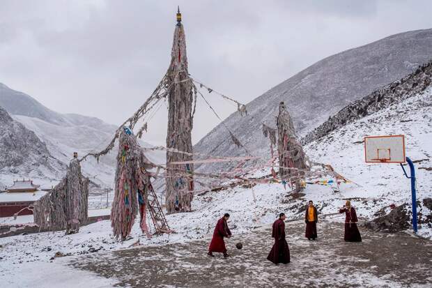 Финалисты экологического фотоконкурса Atkins Ciwem Environmental Photographer of the Year 2016