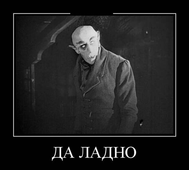 Демотиваторы (30 фото)
