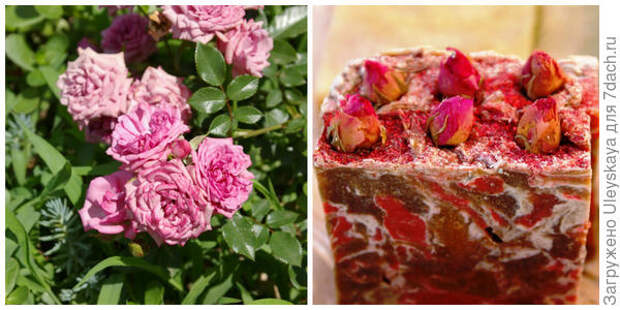 Роза и мыло с лепестками и цветками роз, фото автора
