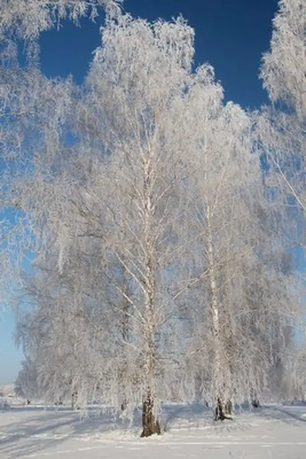 Куржак