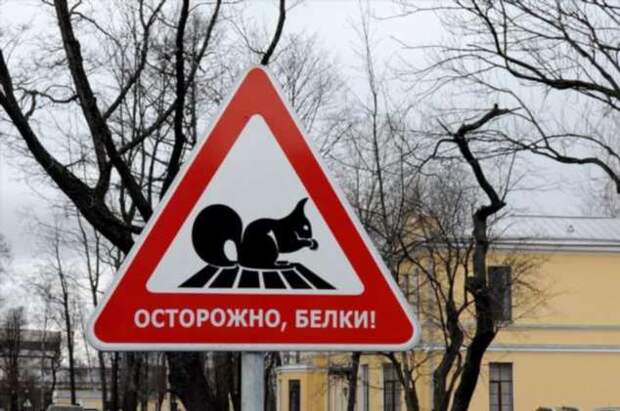 Предупреждающие таблички. Прикольные. Подборкаchert-poberi-tablichki-27521212082020-2 картинка chert-poberi-tablichki-27521212082020-2