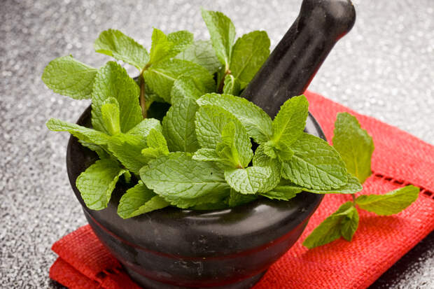photo of fresh aromatic mint in mortar on a glass table