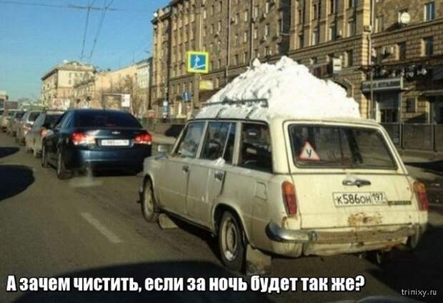 Весна уже пришла? Или пока еще нет? (23 фото)