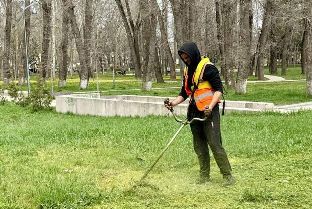 В парках и скверах Симферополя начался покос травы