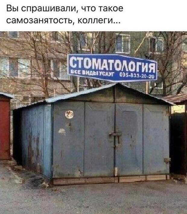 Смешные и прикольные картинки