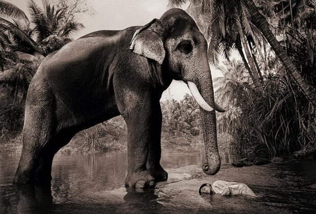 Люди и животные в фотографиях Gregory Colbert Люди и животные в фотографиях Gregory Colbert