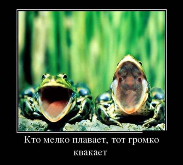Демотиваторы. Подборка chert-poberi-chert-poberi-31500425032020-18 картинка chert-poberi-31500425032020-18