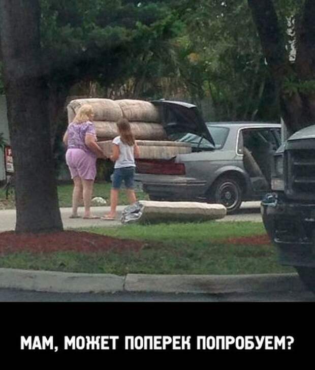 логика
