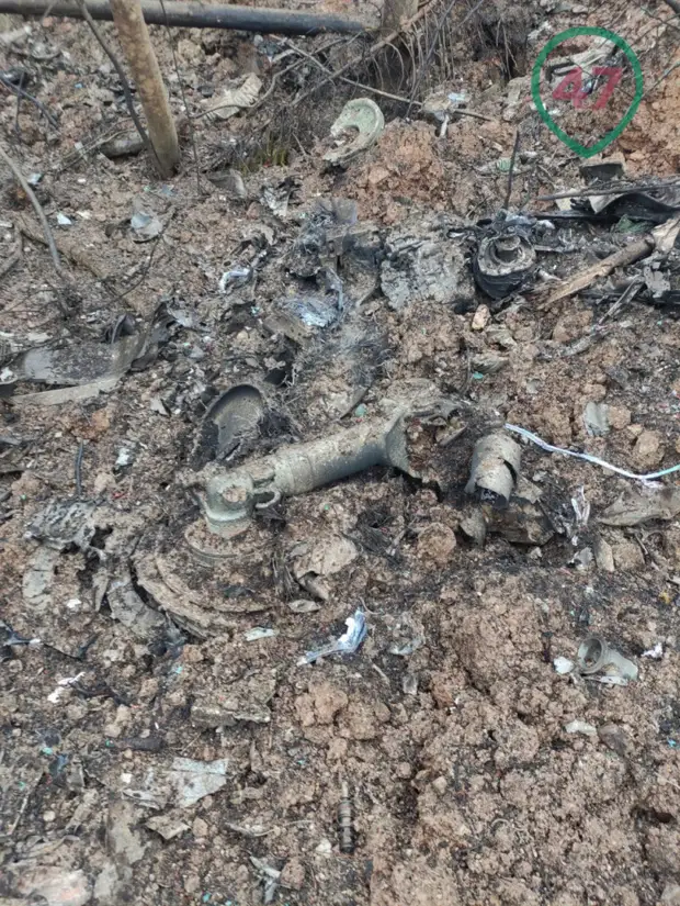 Появились фотографии с места падения под Лугой военного истребителя МиГ-31