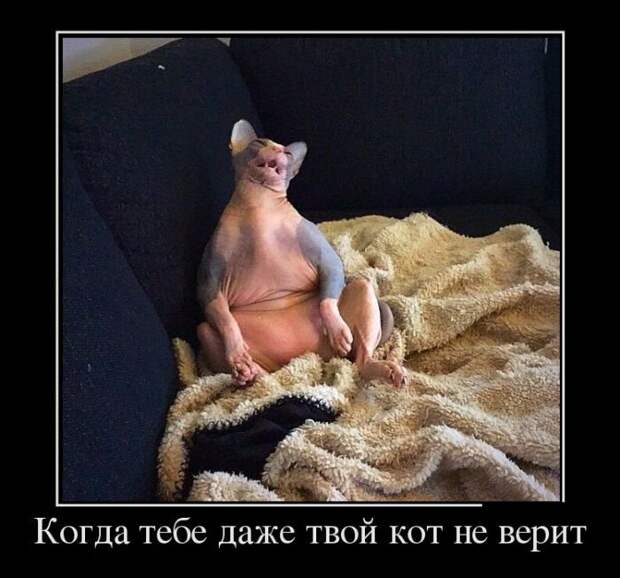 Демотиваторы на субботу (30 фото)