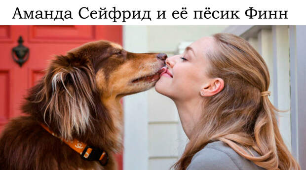 Amanda-Seyfried-Dog-Finn