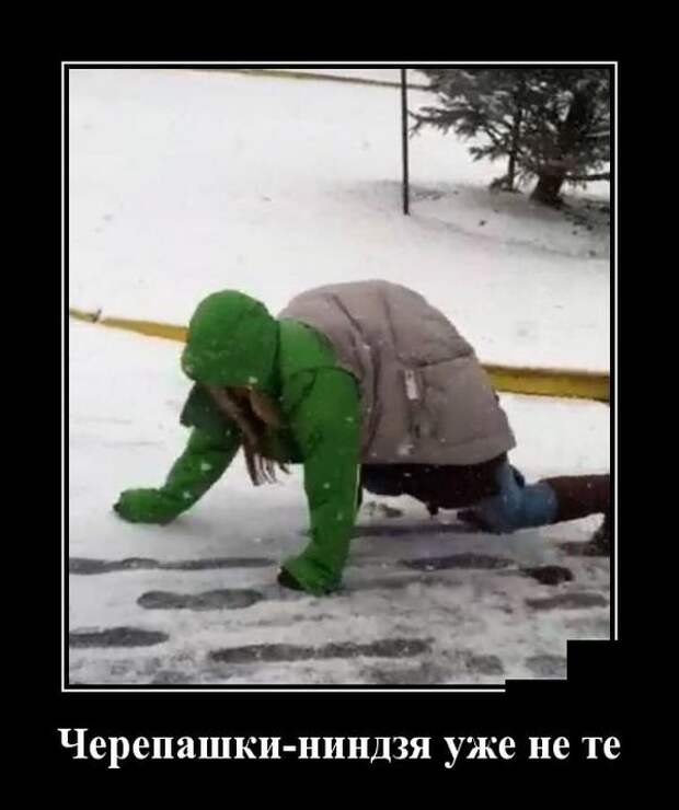 Демотиваторы