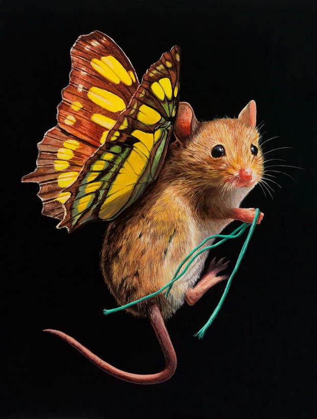 Летающие мышки: новый вид животных на картинах Lisa Ericson