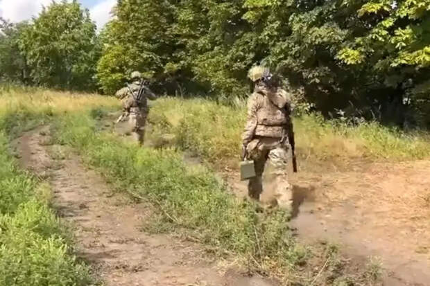 ВС России освободили центр и восточную часть Новогродовки (ДНР), продолжая продвигаться дальше