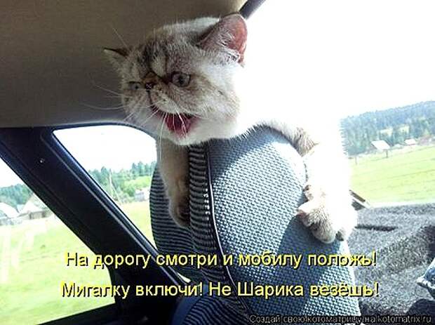 1428677893_kotomatricy-33