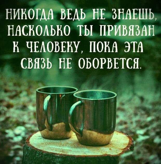 Цитаты в картинках, которые стоит запомнить