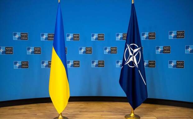 В Испании прокомментировали планы Украины по вступлению в НАТО