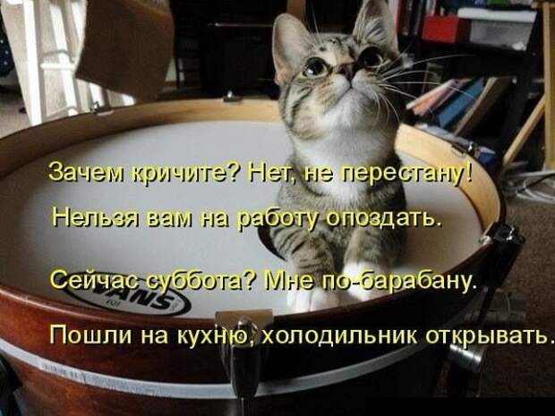 Субботний позитивчик (30 фото)