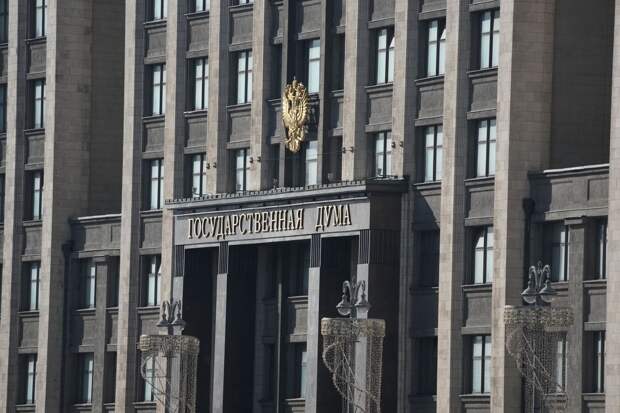 Депутат ГД Бессараб: мать-героиня может получать пенсию более 100 тыс. рублей