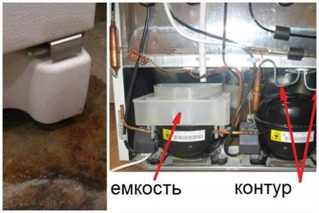 От холодильника воняет от задней стенки тухлятиной