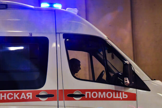 Беременная женщина пыталась спасти собаку из ледяной воды в Татарстане