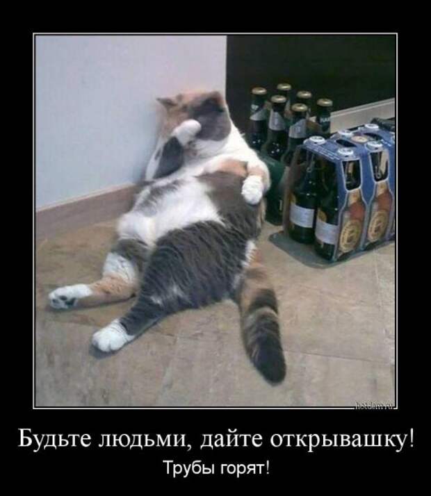 Порция демотиваторов (14 шт)