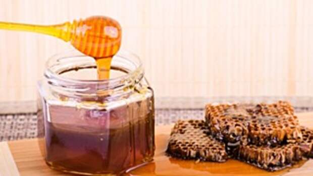 Фото: pixabay.com