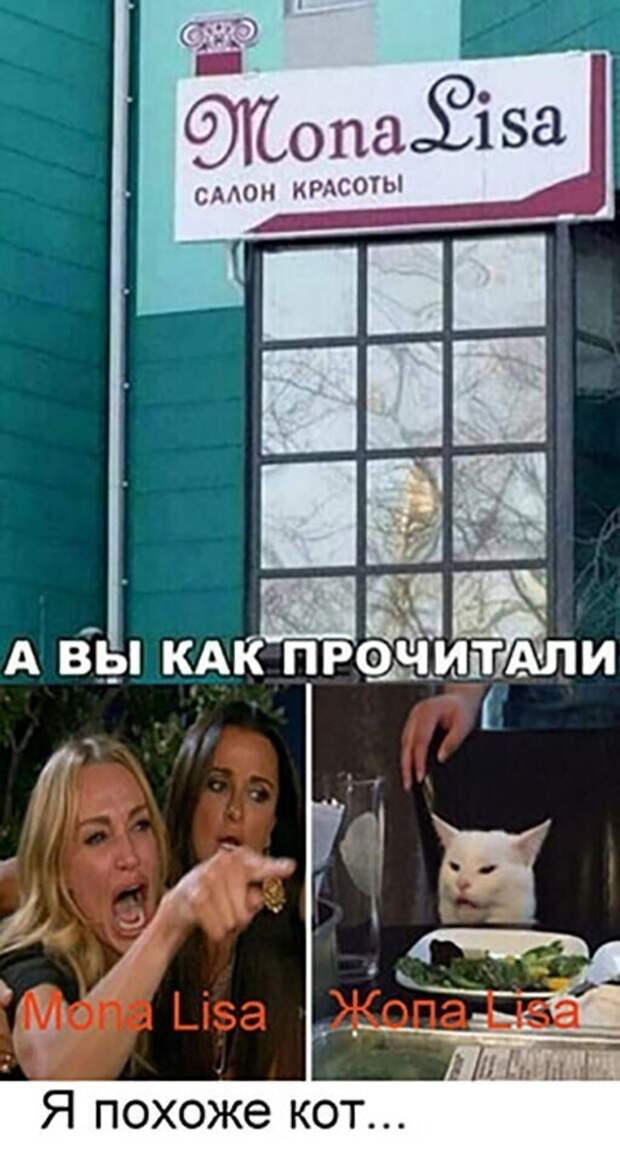 Я похоже кот ) Я похоже кот )