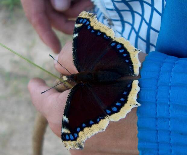 Записывайтесь на мастер-класс активное долголетие!