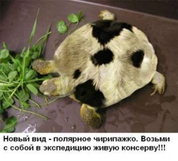 Забывные фотки (41фотка)