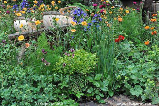 The Trugmakers Garden (1).JPG