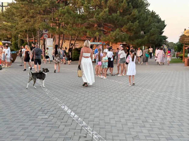 У этих троих словно пропуск в VIP-зону Вселенной: три знака зодиака, за которыми присматривает кто-то наверху