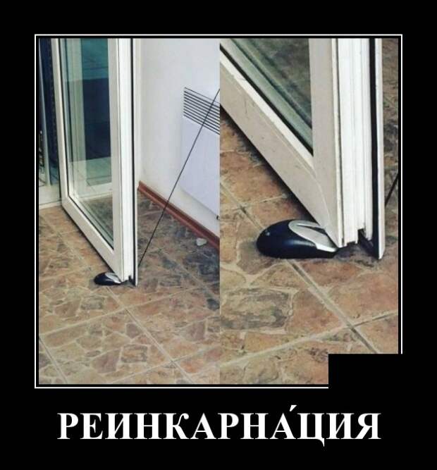 Демотиваторы (30 фото)