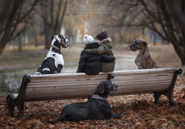 Энди Селиверстов фотографии детей и их больших собаках 18