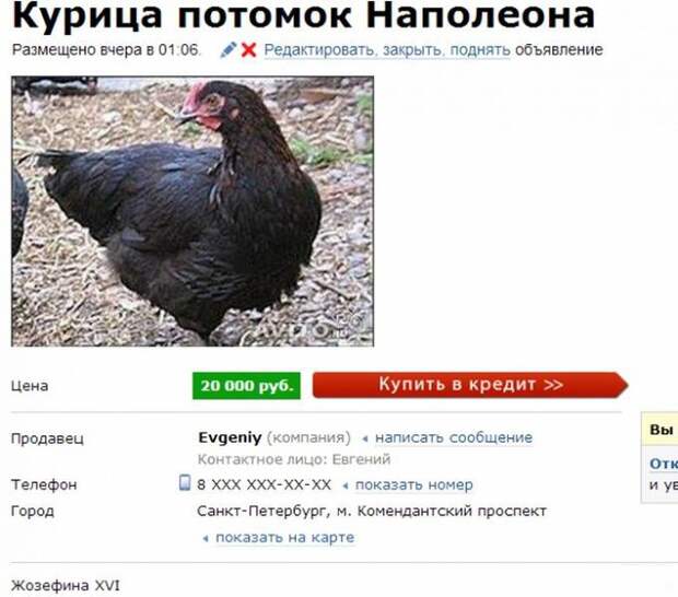 самые оригинальные объявления на авито