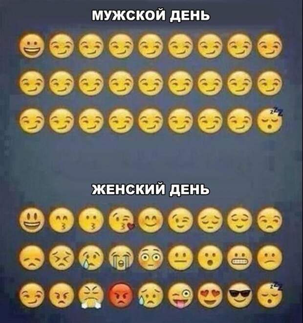 Картинки, юмор, приколы