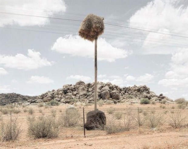 5 5