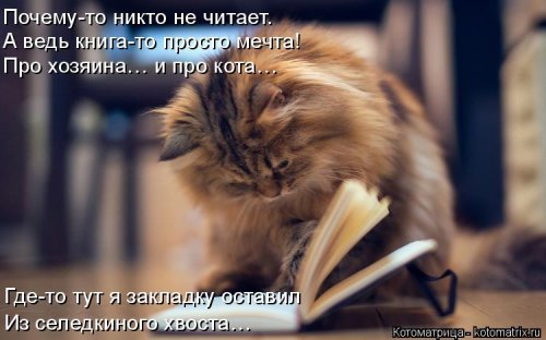 Свежая котоматрица (22 шт)