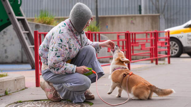 Самая древняя связь: дружба между собаками и людьми существует более 15 тысяч лет