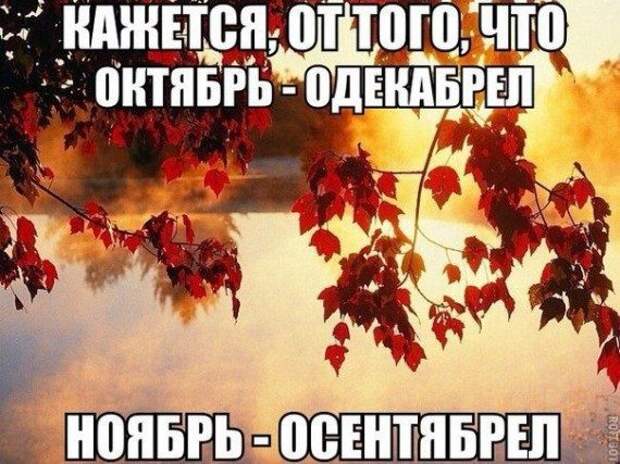 Картинки - смешинки