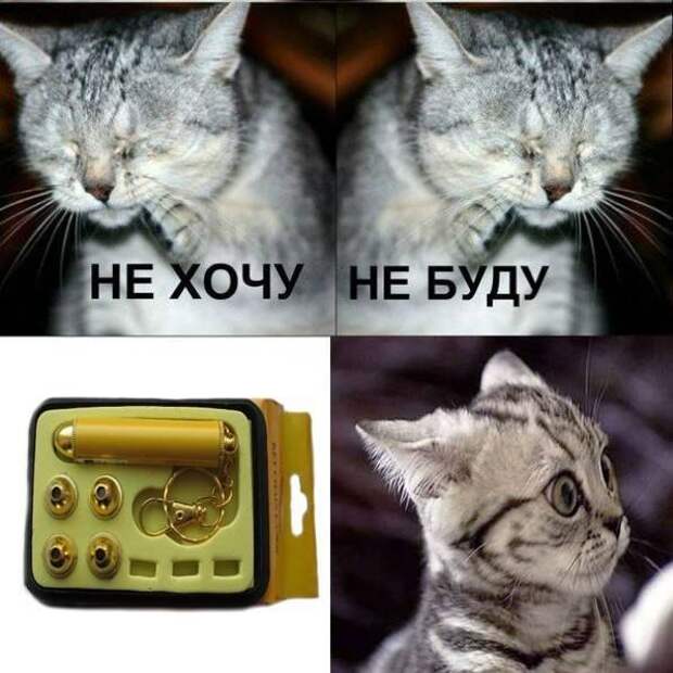 Всяко - разно 21 ))) Всяко - разно 21 )))