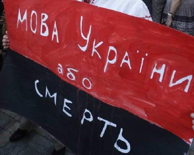Время расплаты: Украинские «патрiотки» оправдываются за то, что говорят на русском (ВИДЕО) | Русская весна