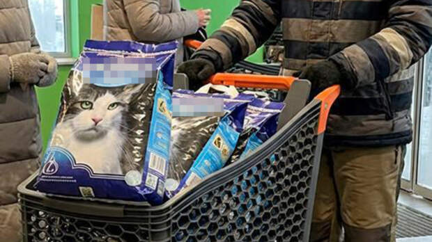 «Страна.ua»: жители Киева скупают наполнители для кошачьих туалетов