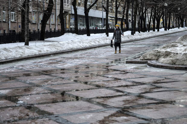 МЧС: в Москве 25 и 26 февраля ожидаются ледяной дождь и гололед